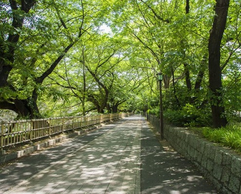 middle-photo0000-5455